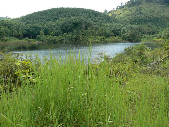 Thailandiche Seenplatte