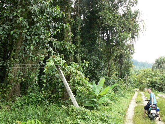 Auch im Dschungel muss man Strom zahlen!