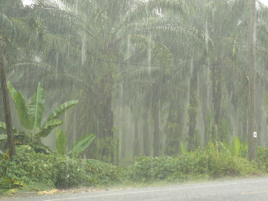 Wenigsten ist es warmer Regen...