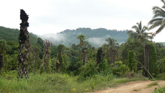 Die Wolken verziehen sich.