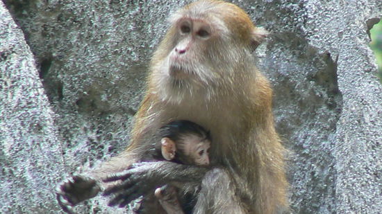 ...und Freitag ......und Samstag. mmh..