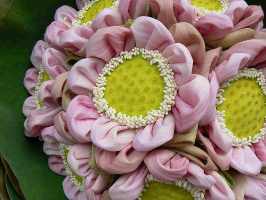 ...ja,auch diese sind echt und fein gefaltet!