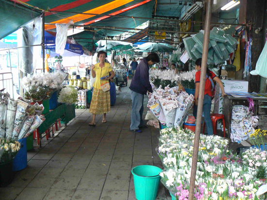 Blumen,Blumen,Blume...