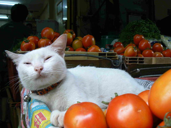 ...mit süßer Fratze.