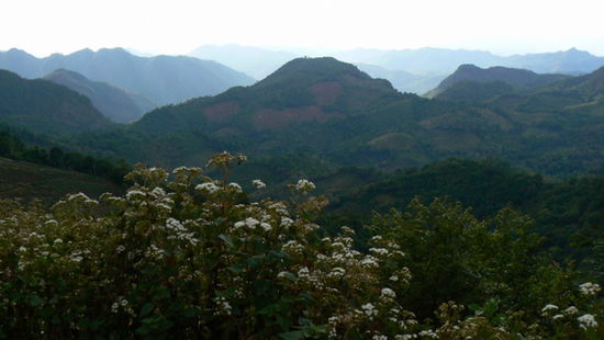Wunderbare Bergwelt