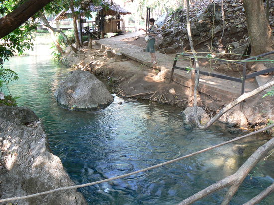 Fische füttern erwünscht...