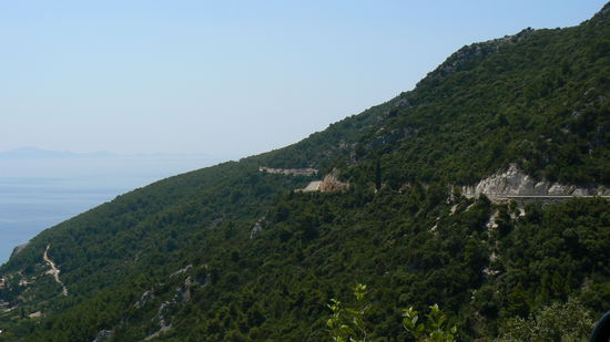 Auf der Grüne Insel wachsen Pinien, Schwarzkiefern, Zypressen, Feigen- und Oliven Bäume....