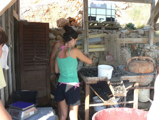 Gerade noch im Wasser...