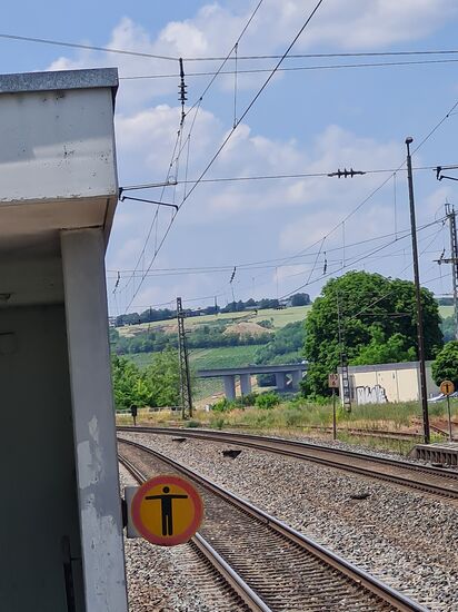Blick zurück zu den Weinhängen am Main gegenüber von Marktbreit.