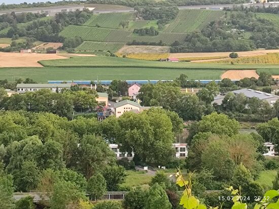 Wo ist er denn?
Eigentlich hinter viel Grün verborgen. Aber an der in zwei Baumlücken sichtbaren Fensterfront eines Hotelschiffes läßt sich der Main sicher lokalisieren.