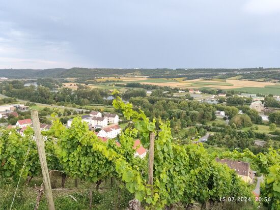 Die obere Position am Weinhang ist erreicht und bietet ausgediente Weitblicke über das Maintal.