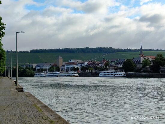 An der Mainpromenade pausierende Fahrgastschiffe mit dem Steinberg im Hintergrund.