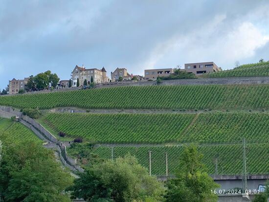 Auf der Anhöhe des Steinbergs thront Schloss Steinburg, ein elegantes 
4-Sterne-Hotel mit Nobelrestaurant, also nichts für einen kleinen Fernradler wie mich - noch dazu ist es erst 8 Uhr vormittags ...