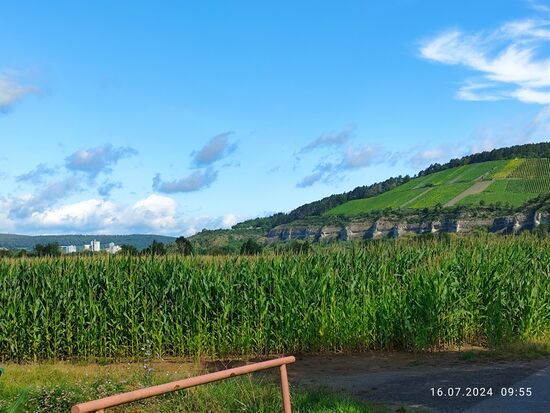 Mitte links im Hintergrund erscheinen die riesigen Anlagen der Zementwerke von Karlstadt.