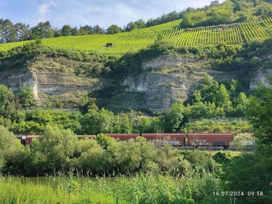Der Güterzug befindet sich gerade auf Höhe der weiter oben bereits angesprochenen Felszacken unterhalb der Weinhänge.