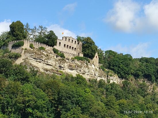 Die Burgruine Karlstadt, eine frühere Höhenburg und in diesem speziellen Fall eine wegen des breiten Felssporns "Spornburg" genannt, wurde um die Mitte des 
8. Jahrhunderts errichtet und gehört zu den ältesten Siedlungsplätzen während der fränkischen Landnahme am Main. In zwei weiteren Phasen bis ins 11. Jahrhundert wurde die Burg erweitert. In der vierten und letzten Phase ab etwa 1200 bis Mitte des 16. Jahrhunderts wurde die Burganlage letztlich verkleinert.
Während des Bauernkrieges in 1525 wurde die Karlsburg zerstört und ist seit 1960 in Obhut und Pflege des Landkreises Main-Spessart.