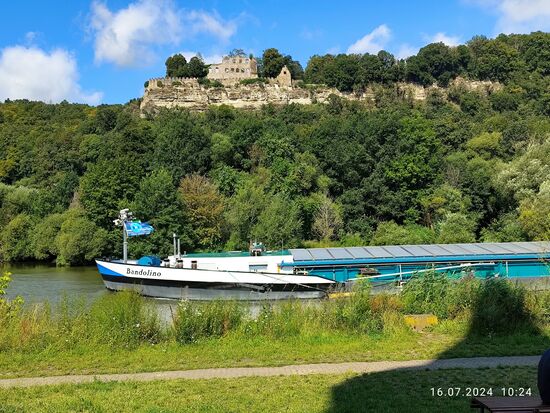 Nochmals ein Blick auf die Ruine Karlburg von der rechtsmainischen Seite Karlstadts aus gesehen. 
Auf dem Main strebt die Bandolino flußaufwärts in Richtung Würzburg.
Sie stammt aus dem Jahre 1962 und bekam im Dezember 2017 zwei neue Motoren mit jeweils 520 kW Leistung.
Länge: 110 m (von meinem Standpunkt aus konnte ich das Binnenschiff nicht über die ganze Länge ablichten), Breite: 10,50 m, Tonnage. 2670 to.