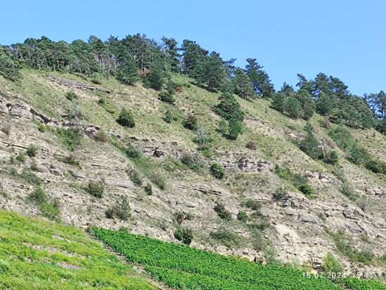 Der obere Bereich des Kallmuth.