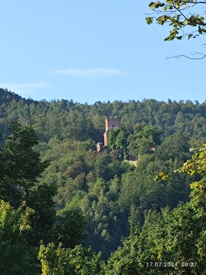 Über der Stadt Freudenberg liegt etwas verdeckt Burg Freudenberg, auch Freudenburg genannt, als Hangburg am Ausläufer des fränkischen Odenwalds.
Bauzeit war ab 1196/97, in 1556 kam es zum fortschreitenden Verfall, mit dem ausgehenden Mittelalter wurde sie mit Gestrüpp und Baumbewuchs überwuchert und geriet in Vergessenheit. Nach dem 2. Weltkrieg wurde sie schrittweise freigelegt, renoviert und 1995 der Öffentlichkeit wieder übergeben. 
Ein kurzes Stück nach Burg Freudenberg verlagert sich die Landesgrenze BW/BY aus der Flußmitte und der Main verläuft wieder komplett auf bayerischen (unterfränkischen) Boden.