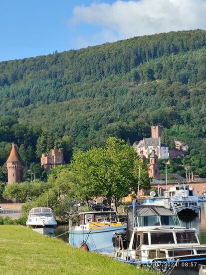 Ganz links das zur Mainbrücke gehörende Zwillingstor, gleich rechts daneben ein nicht identifizierbares Objekt und oberhalb der Schiffe die Mildenburg.
Die Burg wurde sehr wahrscheinlich ab 1144 im Auftrag König Konrads III. erbaut und nach mehreren Besitzerwechseln in 1979 von der Stadt Miltenberg erworben.
Seit 2011 beherbergt die Burg ein Museum zu Ikonen und moderner Kunst.