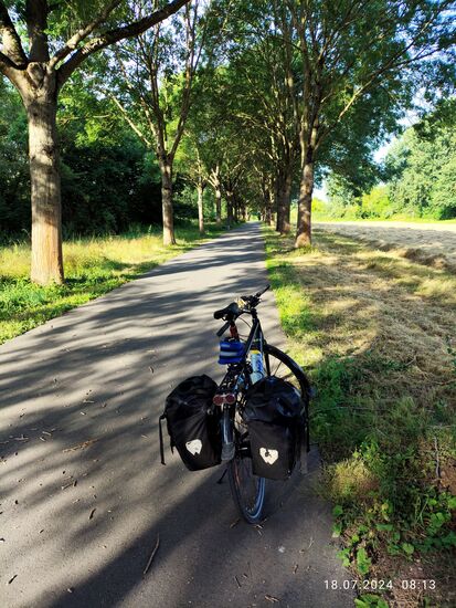 Nach ungewöhnlichen Beiträgen über das Flugwesen (Eisenbahn kommt natürlich auch noch...) mal wieder ein wenig Blick auf meine von der Baumallee am Mainuferweg zwischen Raunheim und Rüsselsheim beschattete Rollbahn.
Rechts oben hinter den Büschen und Bäumen verläuft "mein Main".
