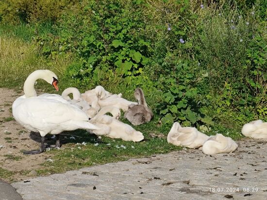 Die Jugend hält von mir unbeeindruckt Vormittags-Siesta.