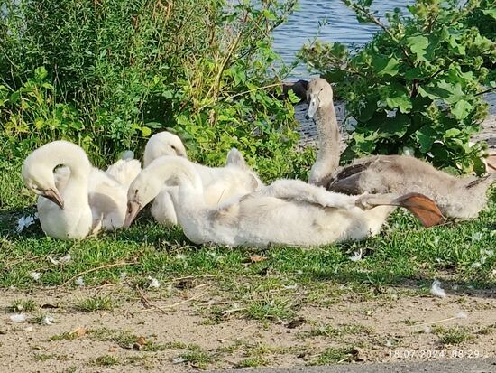 Irgendwie sind sie friedliebende (Fern-)Radler wie mich gewohnt, solange man nicht den Respektsabstand unterschreitet.
