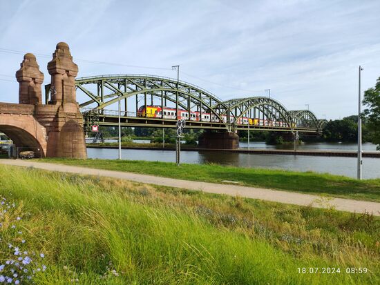 Eine Doppeltraktion der Hessischen Landesbahn (HLB) überquert den Main auf der Eisenbahnbrücke Hochheim, zugleich die vorletzte Brücke (in etwa 2 km folgt noch die Straßenbrücke der B 43), die den Main vor der Mündung überspannt.