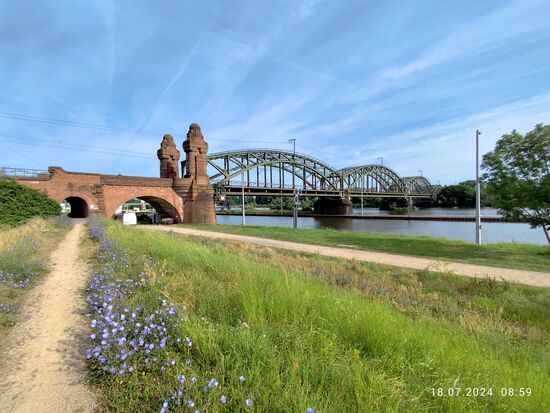 Die in 1904 fertiggestellte Brücke, die als Kulturdenkmal geführt wird, hat die Bauart einer Bogenbrücke und weist mit den Vorlandbrücken eine Gesamtlänge von 561 m Länge auf. Die stählerne Strombrücke überspannt dabei auf 293 m Länge den Main. Von den insgesamt 4 Bogenfachwerkträgern misst der längste 82 m. Die Widerlager mit den turmartigen Aufbauten in romanisierendem Jugendstil ergeben dabei eine charakteristische monumentale Wirkung.