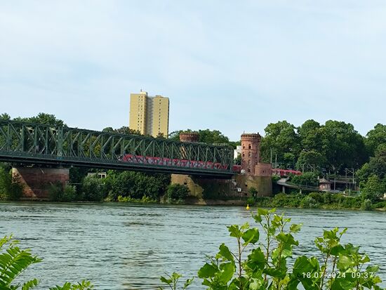 Hier wird der von links aus Süden anströmende Rhein von der Stahlkonstruktion der Südbrücke Mainz überspannt.