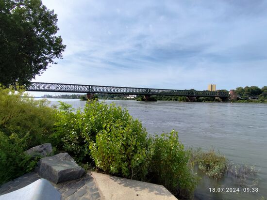 Die Strombrücke der Südbrücke Mainz (bis heute gibt es keinen offiziellen Namen dafür) mit der von meiner Position aus maximal einsehbaren Ausdehnung.
Die vier Stromfelder überspannen den Rhein auf einer Gesamtweite von 419,4 m.