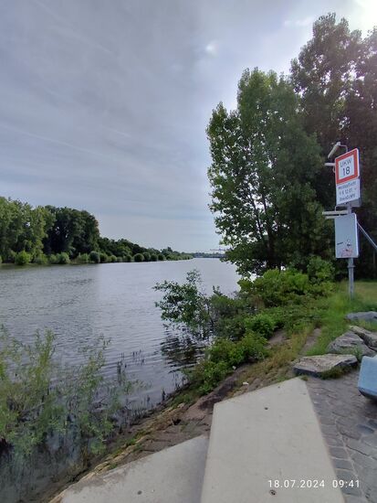 Vom Hintergrund nähert sich der Main auf seinen letzten Metern der Mündung in den Rhein.