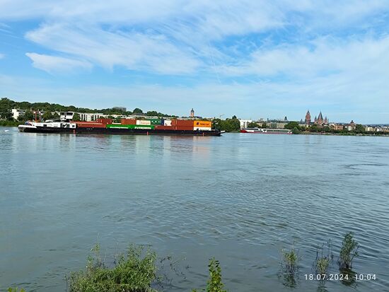 Schließlich ließ die Excelsior "meinen Main" rechts liegen und tuckerte weiter rheinabwärts "zu Tal".