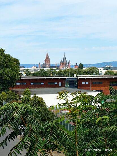 Zum letzten Male die Dom-Türme.