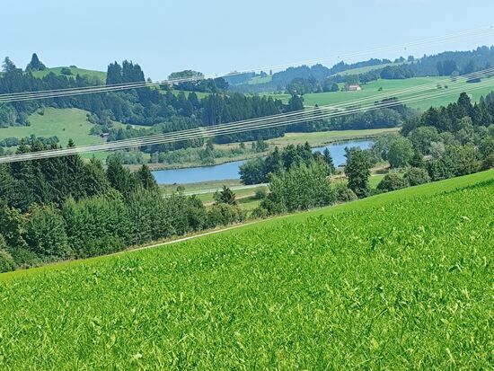 Es handelt sich um den Schwarzenberger Weiher, ein Moorsee zum Wandern und Baden, von dem man hier allerdings nur in etwa das letzte Drittel sieht.
