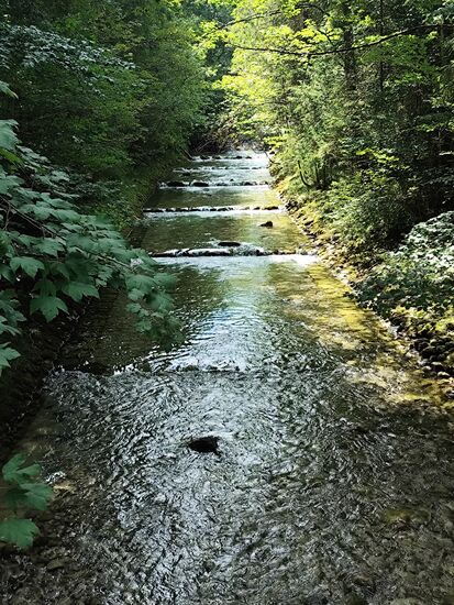 In Pfronten-Steinach geht es dann rechts ab und man wechselt auf die Achtalstraße, die an der Steinacher Achen (Bild oben) entlang der Tannheimer Berge, die hier jedoch noch nicht einsehbar sind, bergauf führt. 
Zum einen "schockierend", da bis kurz vor dem Ortseingang im tirolerischen Grän 11,5 km durchgehende Steigung zu bewältigen sind   . Andererseits deeskalierend, da nur kurz etwas mehr als 5 % Steigung auftreten, die "normalisierte Durchschnittssteigung" lt. dem Pässe-Portal "Quäldich.de" beträgt ~ 3,7 %. 
Mit zwei Packtaschen am Hinterrad und einem untrainierten Pedalquäler wie mich trotzdem herausfordernd.