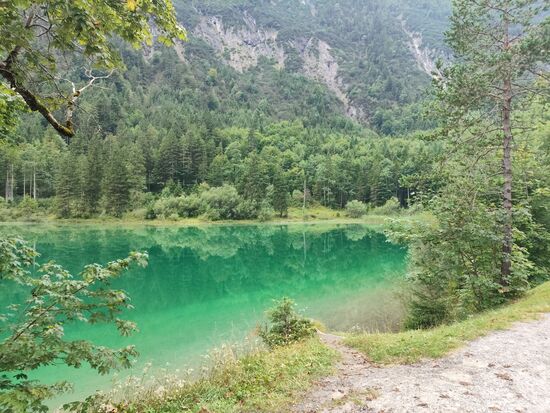 Genau gesagt stellt der westliche Teil des Plansees den "kleinen Plansee" dar, der die Baumreihe direkt am gegenüberliegenden Uferbereich in seinem grünlich wirkenden Wasser eindrucksvoll zur Spiegelung bringt.