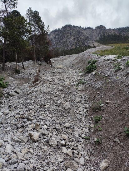 Jetzt wird's grob. 
Mehrere Geröllrinnen von den Bergflanken herab gestalten meinen sowieso zunehmend groben, welligen und immer mehr wurzeldurchwachsenen Weg zu einer Rad-Schiebe-Tortur, die mir nur noch gelegentlich zur Abwechslung einige wenige Roll-Meter zugestehen wollte.