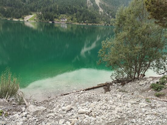Rechts am Strauch vorbei geht's weiter. 
Wer zum Teufel hat mich hier hergetrieben? 
Antwort: Der eigensinnige Fernradler, der die bequeme Asphaltpiste aus Abenteuertum verschmähte. Schuld waren nicht vorhandene, mahnende Stimmen anderer Radler und Wanderer am vorher beschriebenen "Schicksalssteg".
Kein Schild war von meiner Seite zu sehen. Kurz vor Tortur-Ende begegnende Wanderinnen machten mich auf das eigentliche hier bestehende Radlerverbot und auf die sich von vorne her ablösende rechte Click-Sandalensohle aufmerksam, die sich zunehmend immer wieder an Steinen und Wurzeln verfing, aber ein Stolpern konnte ich immer wieder gerade so vermeiden. 
Ein entsprechendes Verbotsschild für Radler kurz vor dem Campingbereich am Plansee-Ostende fiel mir dann sofort auf, aber eben nur entgegengesetzt zu meiner "Schiebe-Richtung" also zu spät und sinnlos.