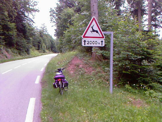 am Anstieg zum Col de la Chapelotte:
bei Wildwechsel laut klingeln !