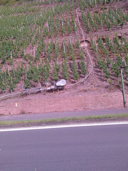 Am Anfang des Weinhangs ein Lift, mit dem der Winzer an der Führungsstange entlang den steilen Anstieg mit Motorkraft erklimmen kann. Leider etwas schlecht erkennbar.