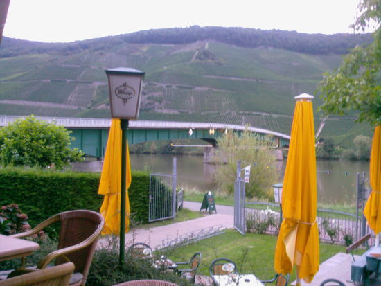 Blick vom Wein- und Biergarten des Gästehauses Ostländer auf die Mosel