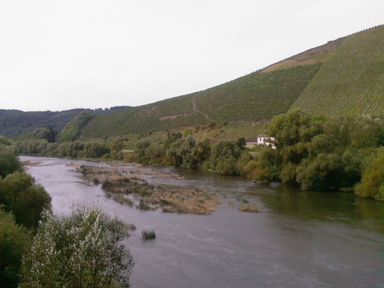 Blick von der Saarbrücke bei Kanzem flussaufwärts.
