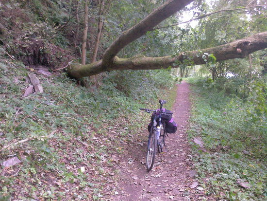 Südlich von Saarburg ein kurzes Stück unbefestigter Weg - der offizielle Radweg verlief auf der anderen Flussseite