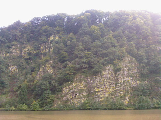 Steilhang ein gutes Stück vor dem Wendepunkt der Saarschleife am gegenüberliegenden Saarufer, wo ein zweiter Radweg verläuft.