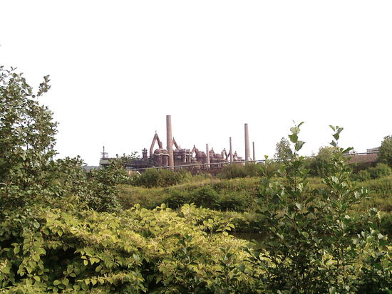 Schwerindustrie eingebettet vom Grün der Natur