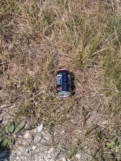 Nicht nur Botanik gibt's am Straßen- und Wegesrand.