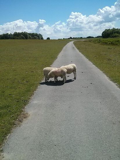 Halbseitiger Warnstreik