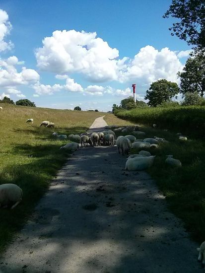 Vollblockade im kühlen Schatten (aha, deshalb also an der Stelle)