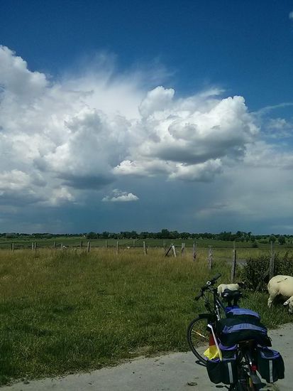 Auweia, da braut sich was zusammen - ist aber an diesem Tag mit einigen Sturmböen als Gewitterausläufer auf meiner Route nach HH glimpflich ausgegangen. Etwas südlich der Elbe wäre ich gut nass geworden, so wie die Regenschleier niedergingen. Wasser ginge ja noch, aber Gewitter sind einfach unwirtlich.